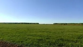 Продам земельный пай