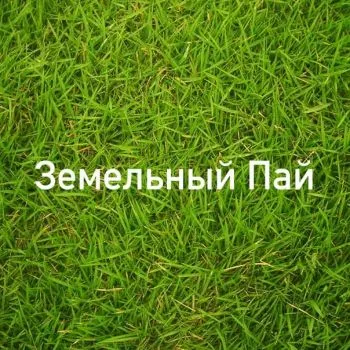 Продам земельный пай